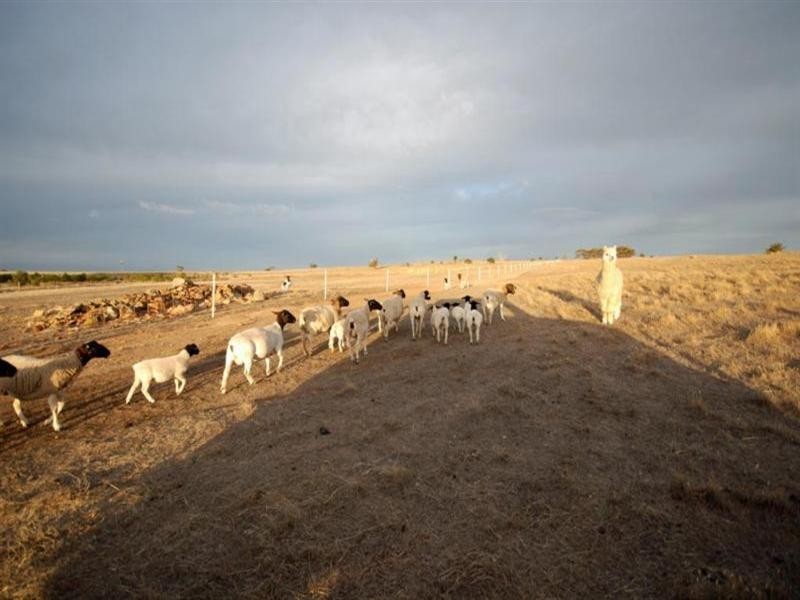 69 Browns Road, Narrogin WA 6312