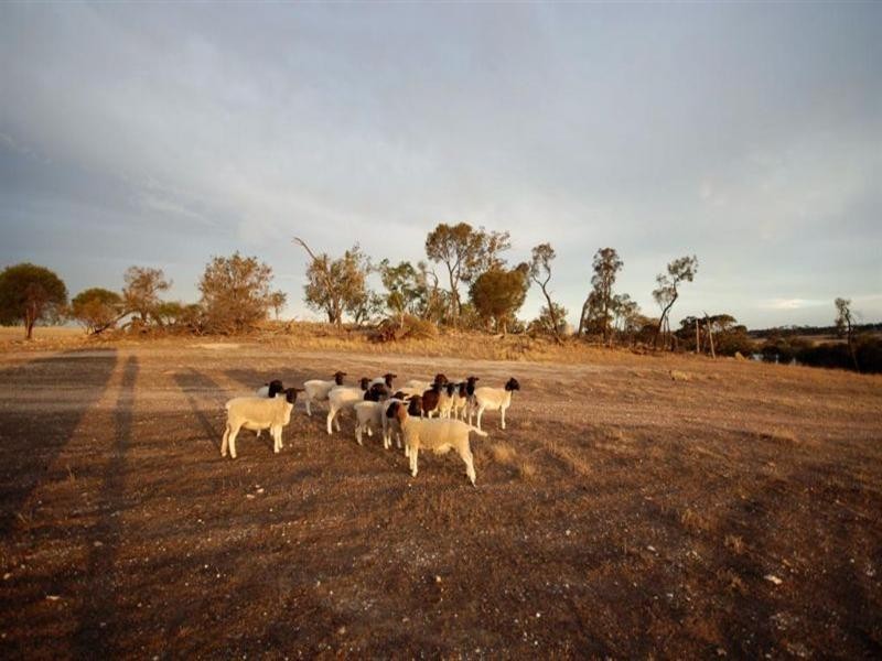 69 Browns Road, Narrogin WA 6312