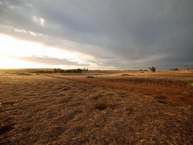 69 Browns Road, Narrogin WA 6312