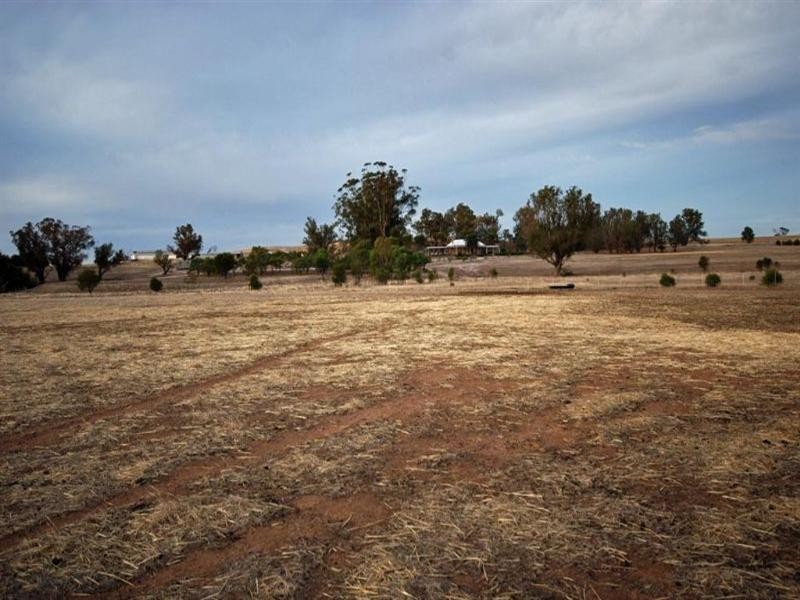 69 Browns Road, Narrogin WA 6312