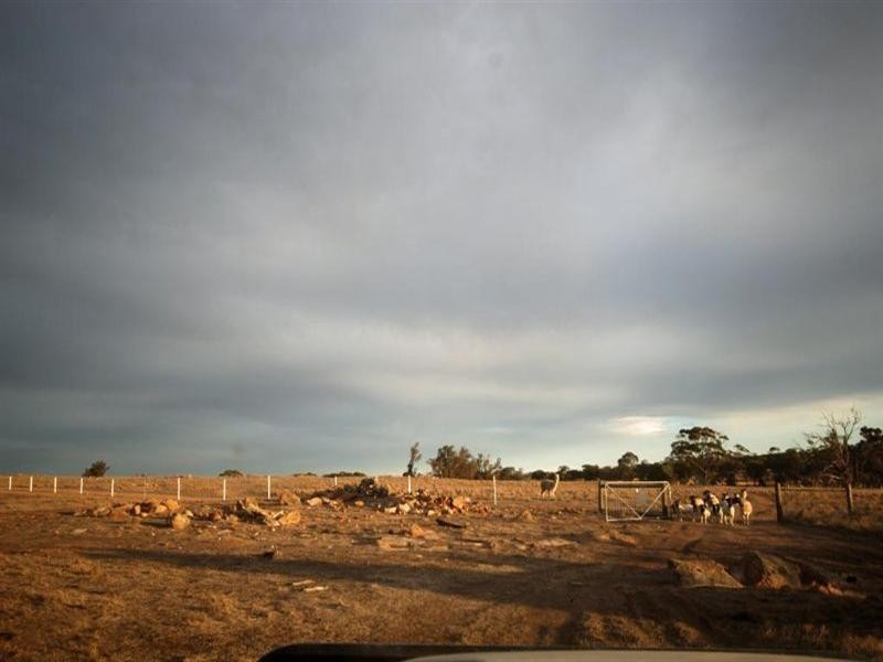 69 Browns Road, Narrogin WA 6312