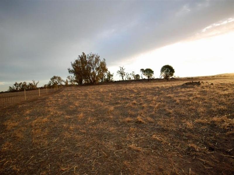 69 Browns Road, Narrogin WA 6312