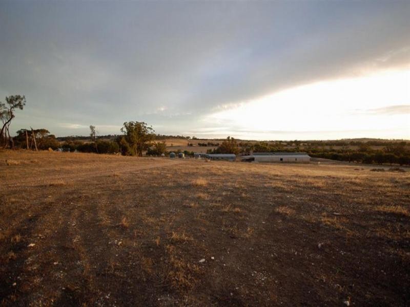 69 Browns Road, Narrogin WA 6312