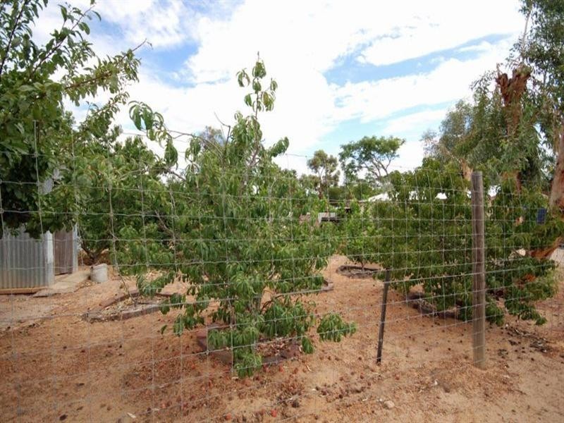 21 Argus Street, Narrogin WA 6312