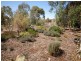 49 Beeston Street, Cuballing WA 6311