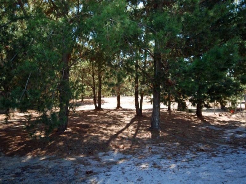 182 Narrakine Road, Narrogin WA 6312