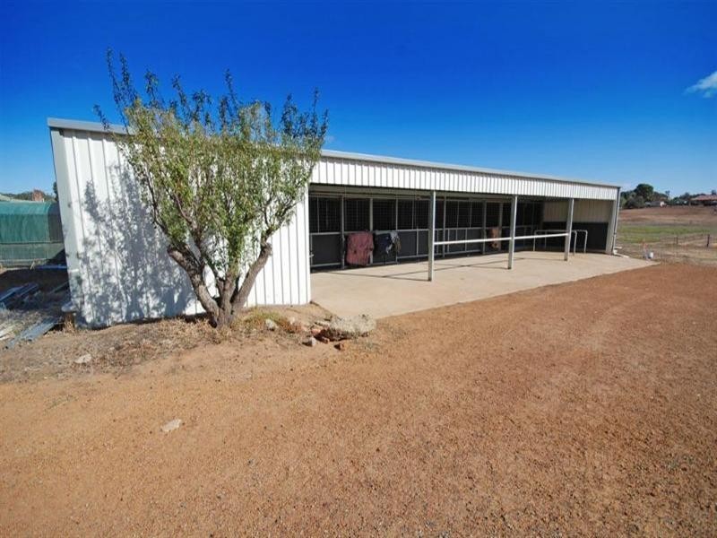 16 Dellar Street, Narrogin WA 6312