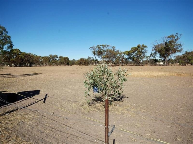 13 Tudor Street, Wagin WA 6315