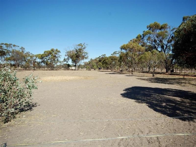 13 Tudor Street, Wagin WA 6315