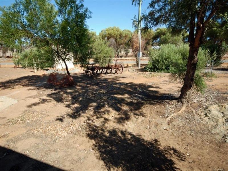 229 Richmond Street, Williams WA 6391