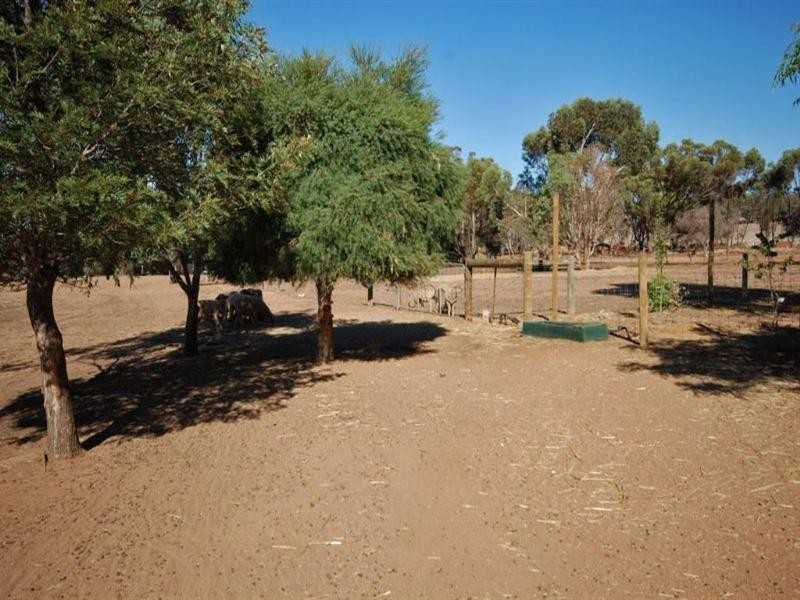 229 Richmond Street, Williams WA 6391