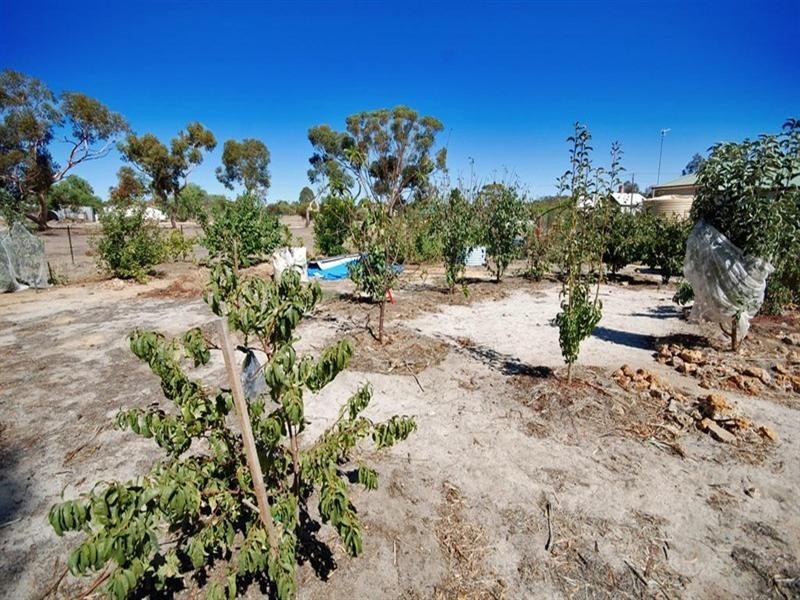 17 Raglan Street, Pingelly WA 6308