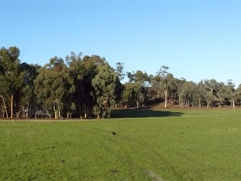 Lot 15624 Yornanning Road, Cuballing WA 6311
