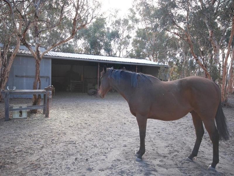Lot 15624 Yornanning Road, Cuballing WA 6311