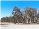 Lot 15624 Yornanning Road, Cuballing WA 6311