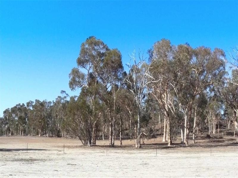 Lot 15624 Yornanning Road, Cuballing WA 6311
