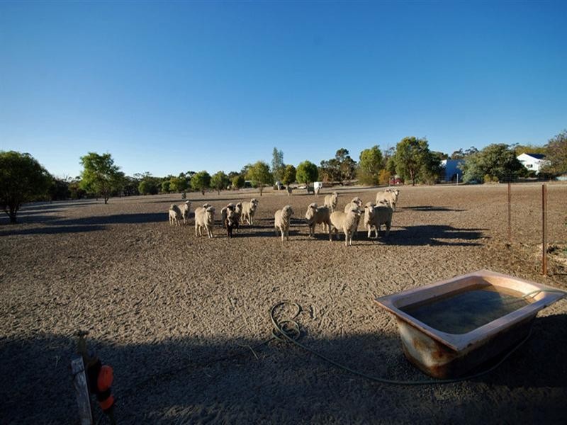 12 Pitt Street, Pingelly WA 6308