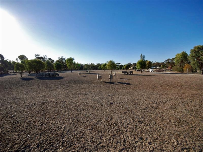 12 Pitt Street, Pingelly WA 6308