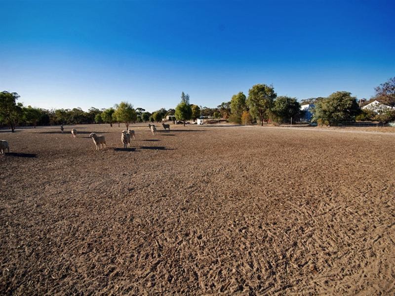 12 Pitt Street, Pingelly WA 6308