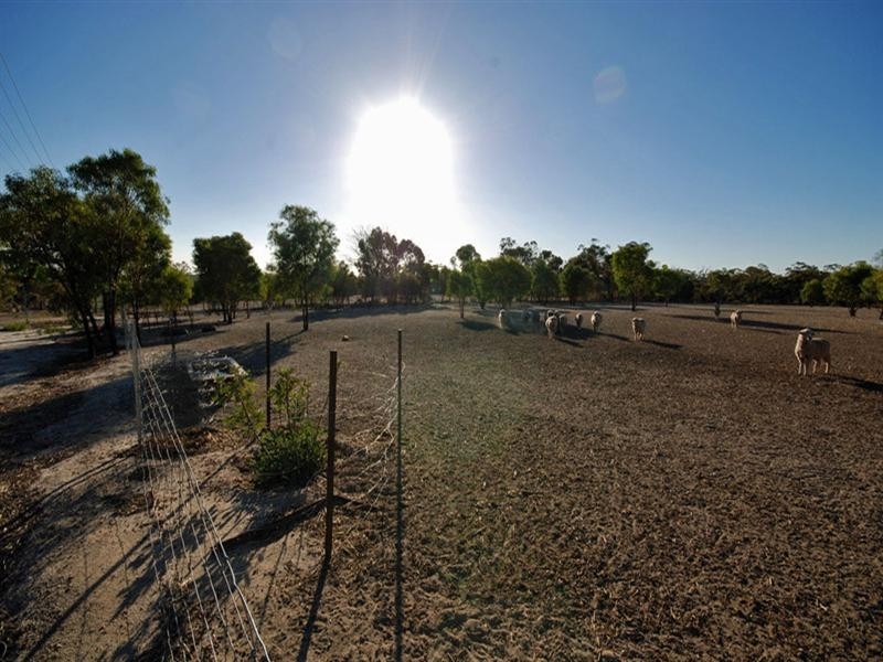 12 Pitt Street, Pingelly WA 6308