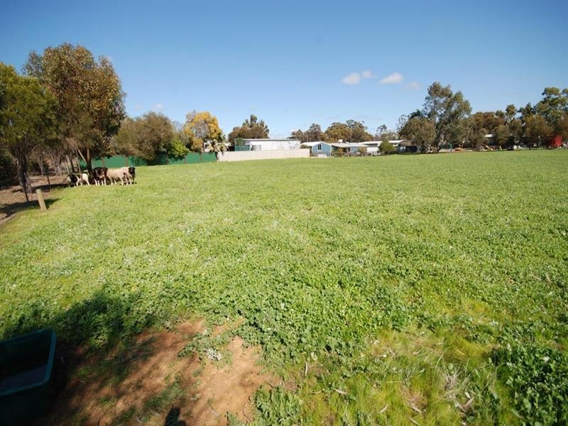 9 Adam Street, Williams WA 6391