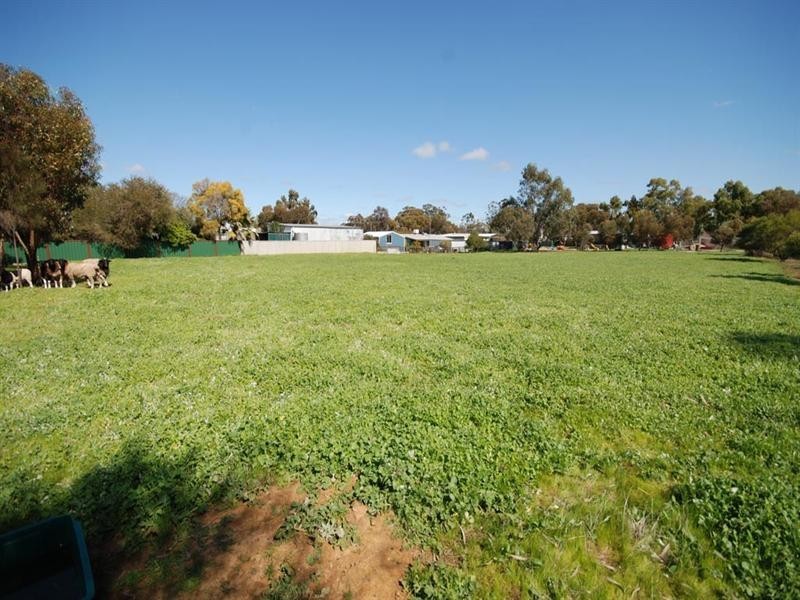 9 Adam Street, Williams WA 6391