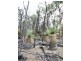 1 Taylor Road, Boundain WA 6312