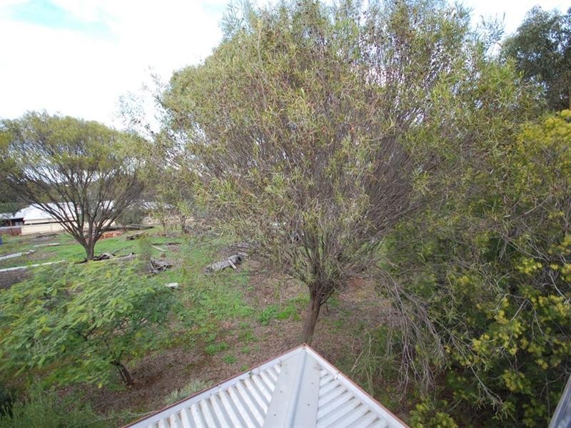 63 Argus Street, Narrogin WA 6312