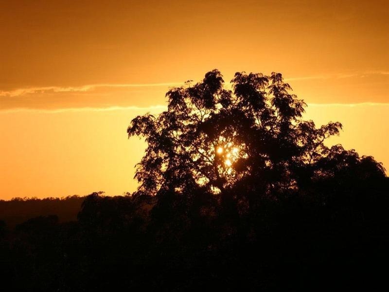 93 Herald Street, Narrogin WA 6312