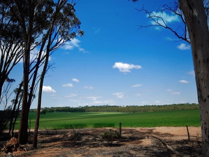 2617 Kulin-Dudinin Road, Dudinin WA 6363