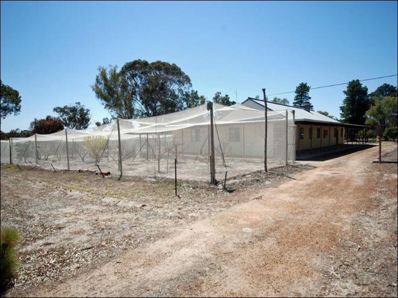 2617 Kulin-Dudinin Road, Dudinin WA 6363