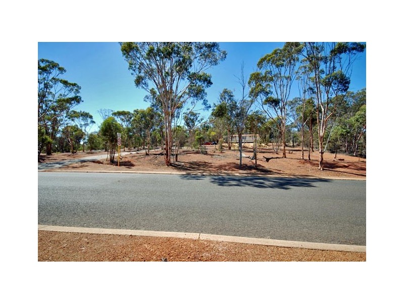 28 Butler Street, Narrogin WA 6312