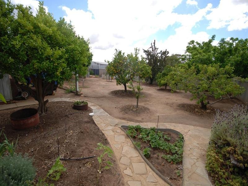 46 Furnival Street, Narrogin WA 6312