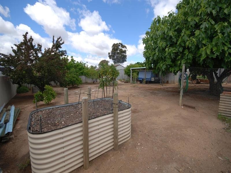 46 Furnival Street, Narrogin WA 6312