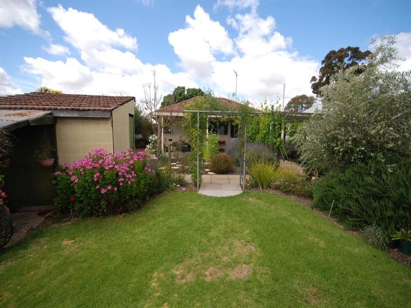 46 Furnival Street, Narrogin WA 6312