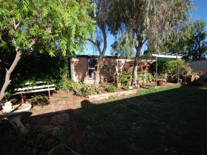 35 Argus Street, Narrogin WA 6312