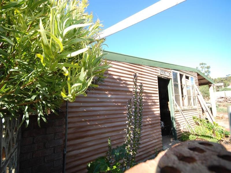 35 Argus Street, Narrogin WA 6312