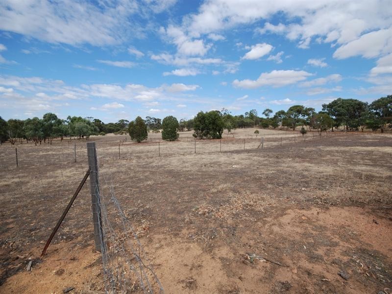 111 Hotham Street, Cuballing WA 6311