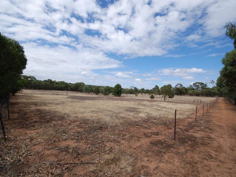 111 Hotham Street, Cuballing WA 6311