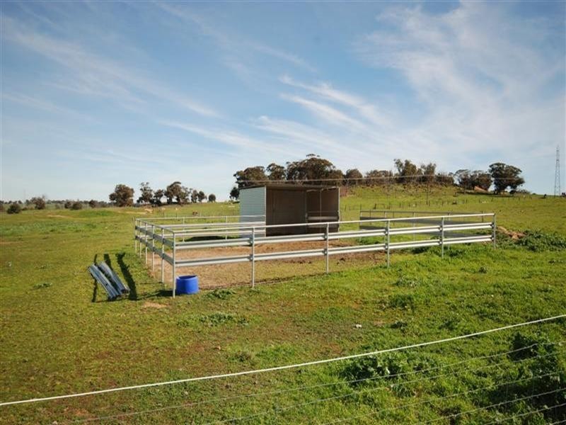 21 Great Southern Highway, Narrogin WA 6312