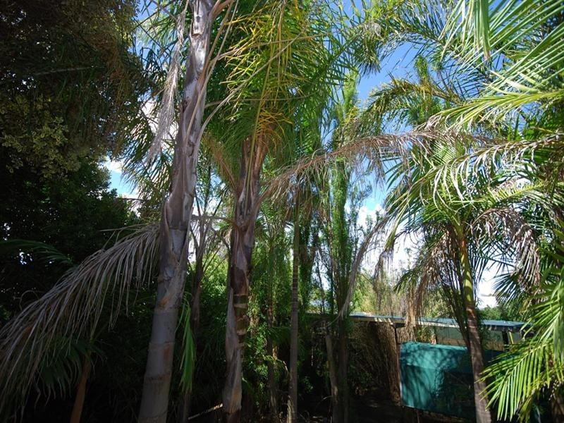 64 Lock Street, Narrogin WA 6312