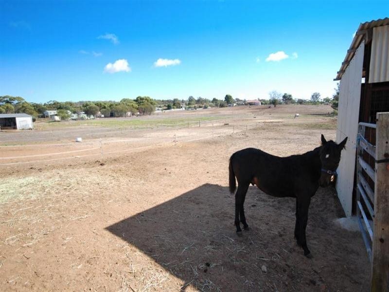 16 Dellar Street, Narrogin WA 6312