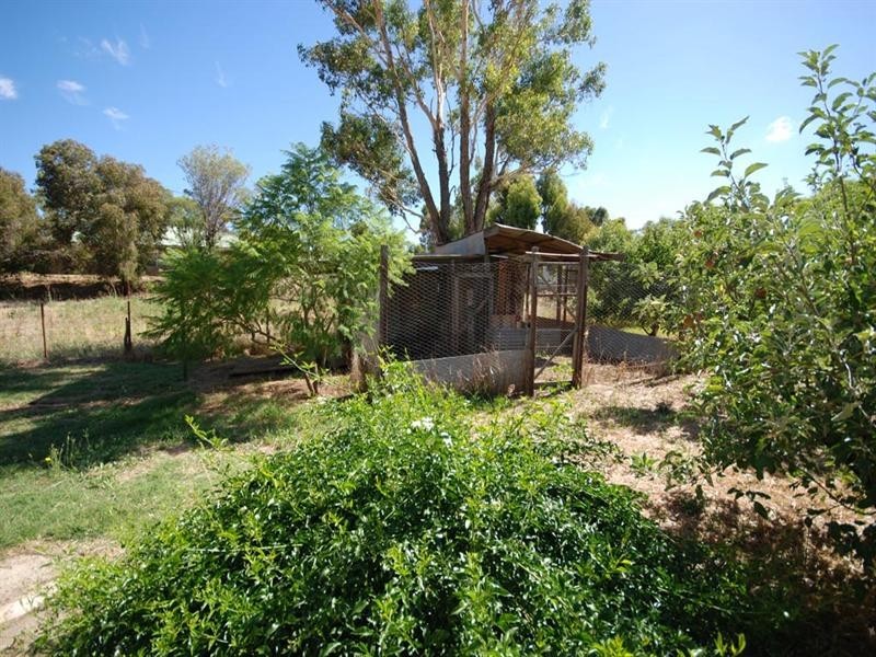 63 Havelock Street, Narrogin WA 6312