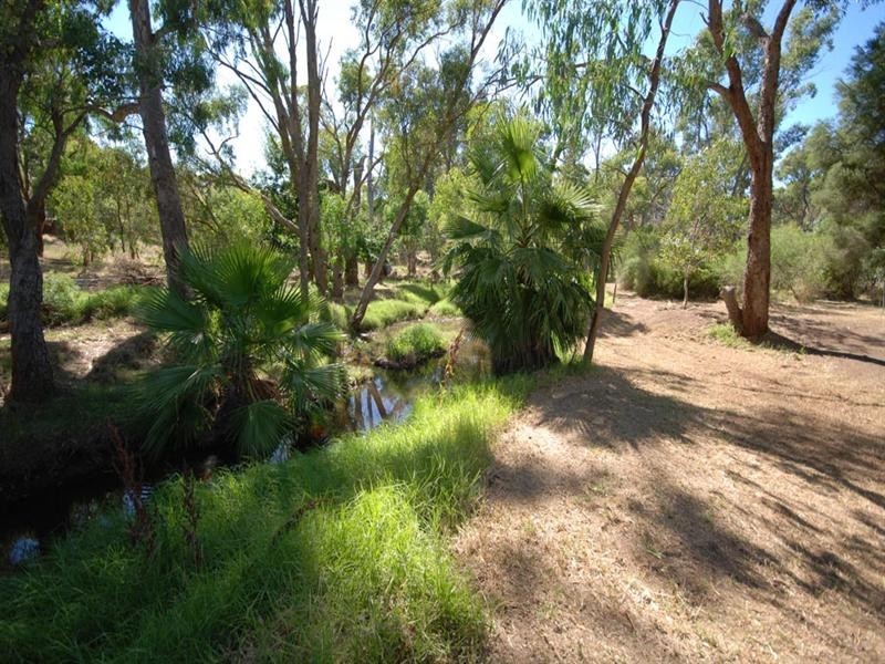 63 Havelock Street, Narrogin WA 6312