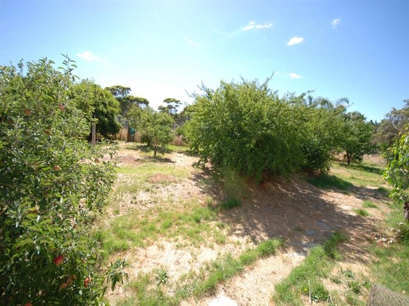 63 Havelock Street, Narrogin WA 6312