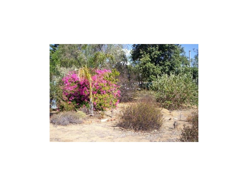 32 Dalton Street, Yealering WA 6372