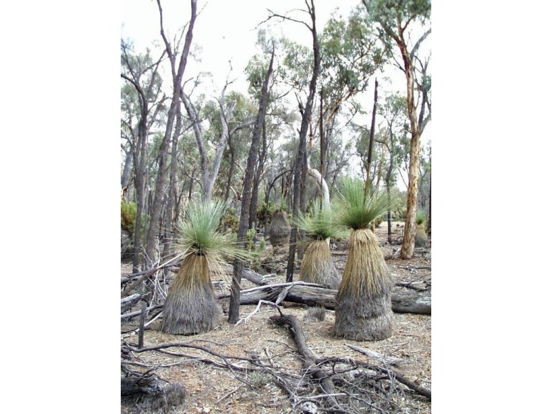 1 Taylor Road, Boundain WA 6312