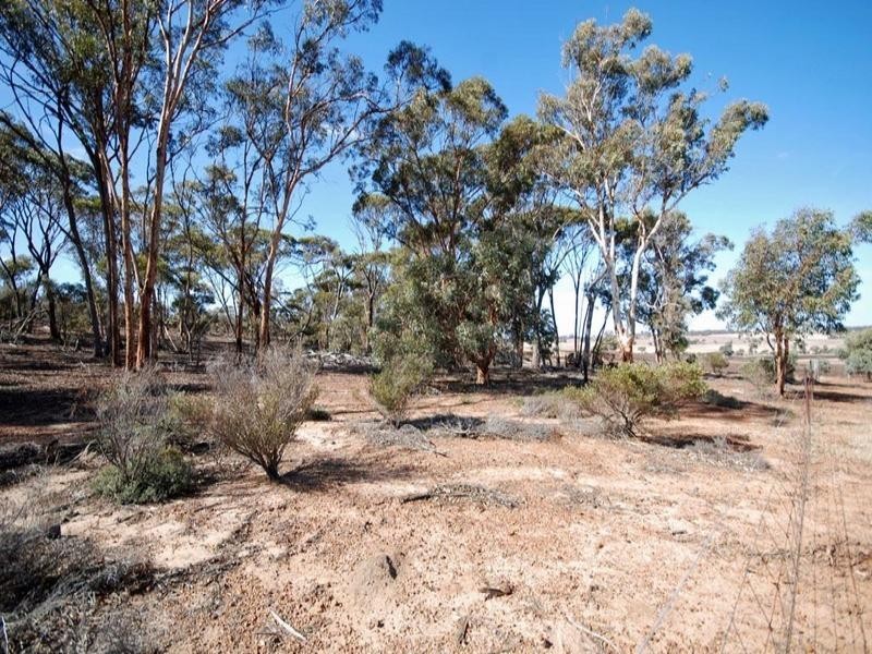 1 Taylor Road, Boundain WA 6312