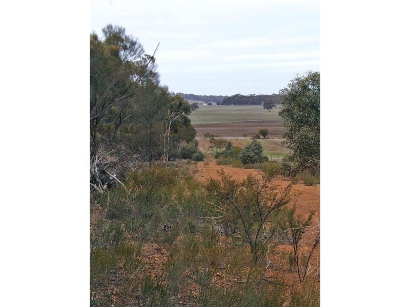 1 Taylor Road, Boundain WA 6312