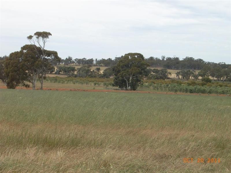 L5821 THOMPSON Road, Pingelly WA 6308